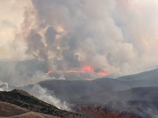 An aerial view of a wildfire