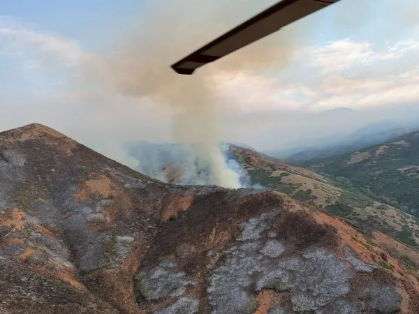 An aerial view of a wildfire
