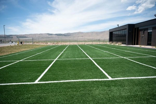Outdoor turf field with white grid markings next to a modern building, with mountains in the background.